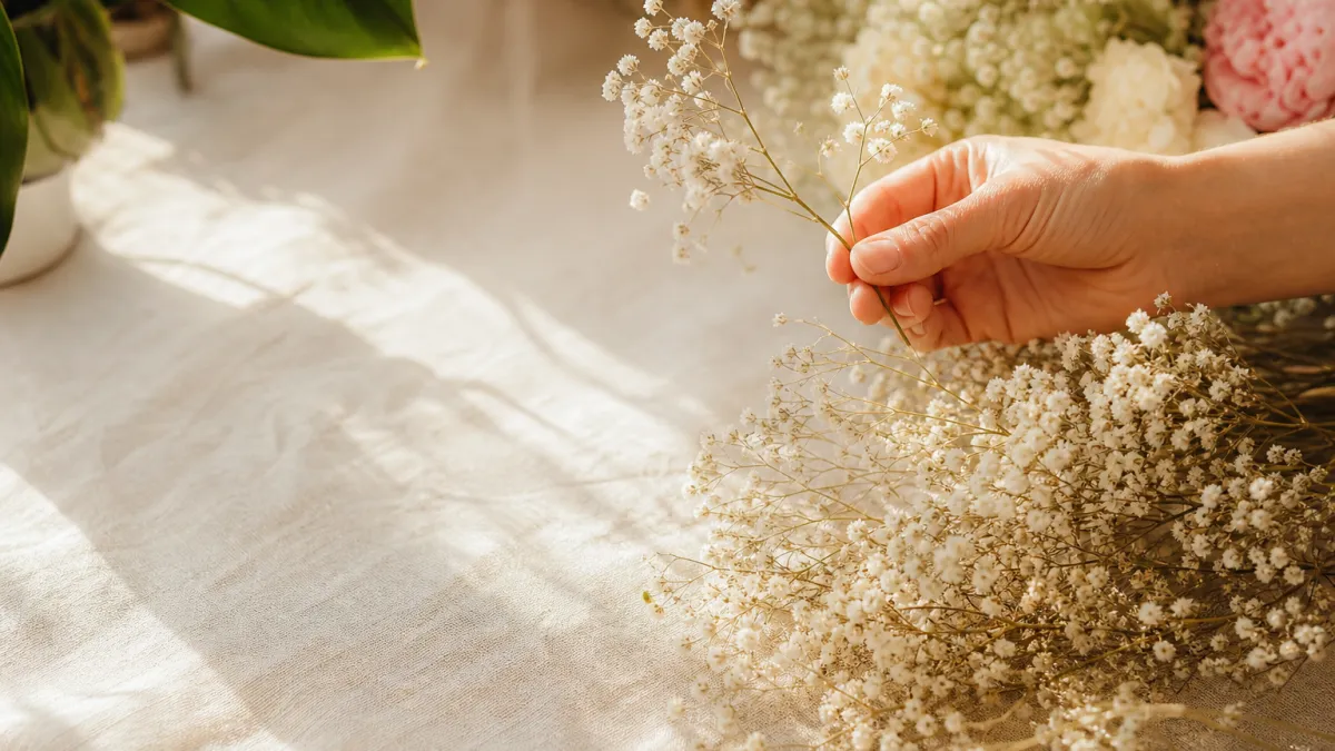 La gypsophile : guide complet pour vos bouquets et jardin